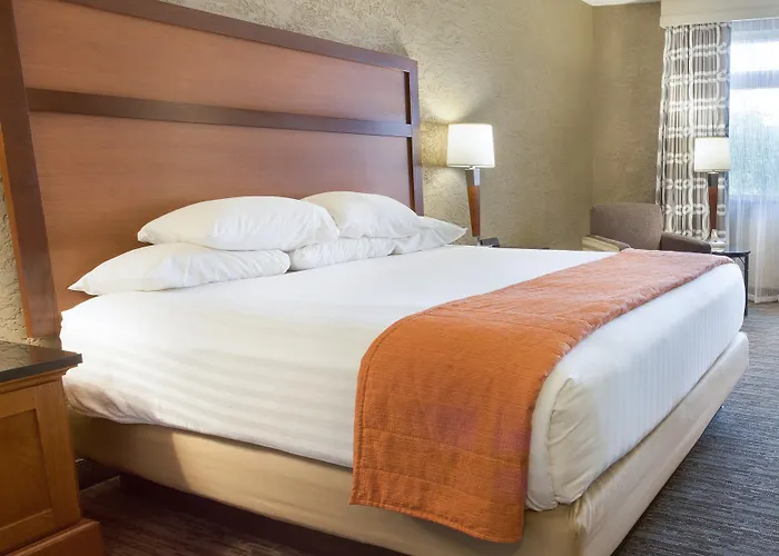 Hotel Drury Plaza 3*