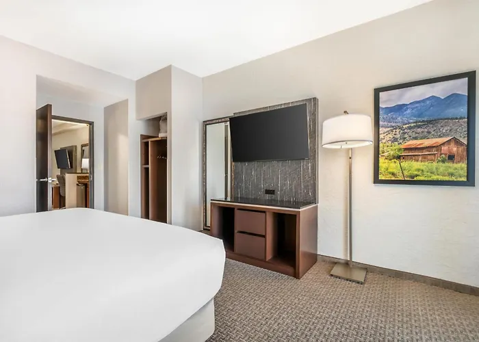 Hotel Drury Plaza