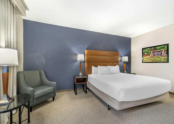 Hotel Drury Plaza 3*