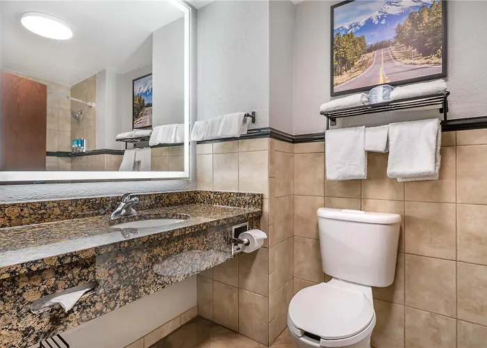 Drury Plaza Hotel 3*