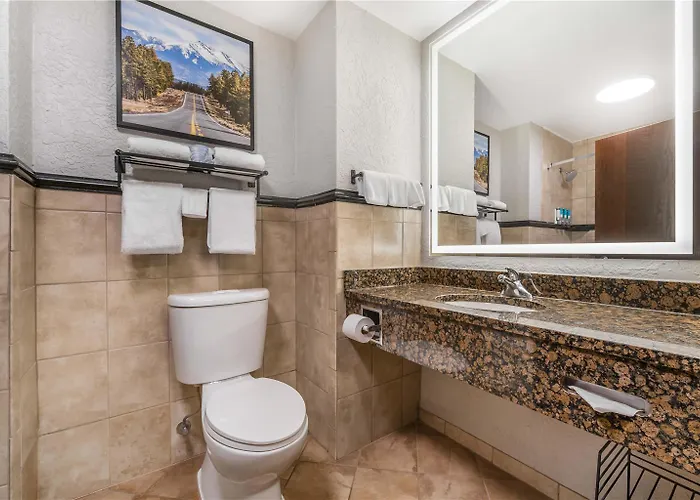 Hotel Drury Plaza 3*